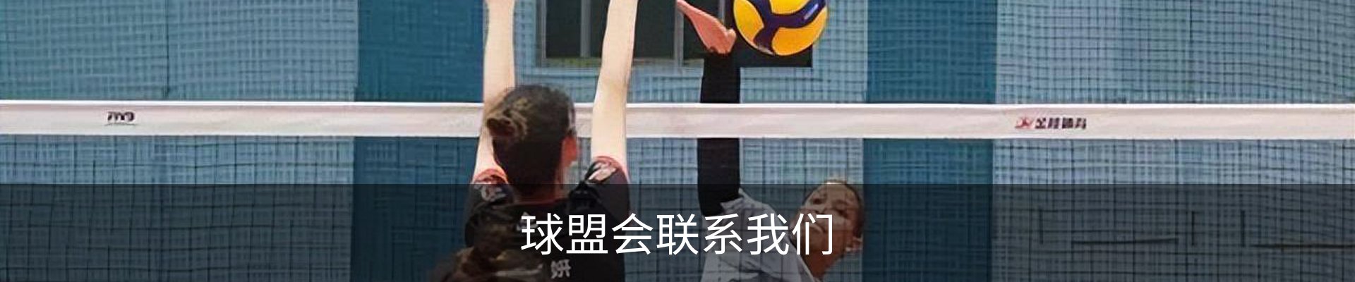 球盟会联系我们